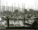 Berkeley Marina