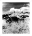 STUMP and SKY