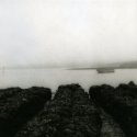 Point Reyes#1