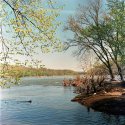 Spring along the Potomac
