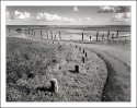 Path to the water.