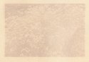 Anthotype from positive of flowers