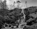 Forestry workings in Glen Shiel