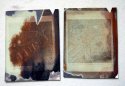 Article images