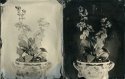 Wet plate project