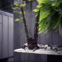 Garden Whimsy