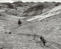 Painted Hills