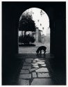 Southern Spain 2