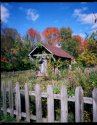 Garden Hut