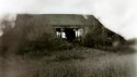 Barn...