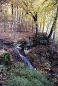 Along the Niagara Escarpment