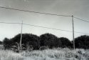 Poles