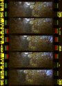 More Frames from my Lomo Kino