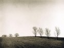 Farmland near Ingatestone