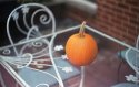 Happy Halloween!