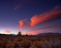 november06005