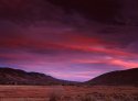 november06006