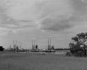 Shrimp boats