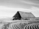 Barn, Western Washington