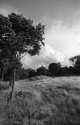 William B Pond area