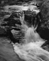 Cascade, Stoney Creek