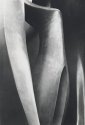 Forms #3