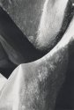 Forms #2