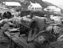 Independence Mine