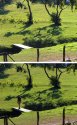 Sequence
