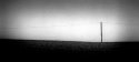 Telegraph Pole