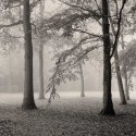 Fading