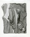 Calla #42 deconstructed