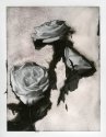 Tattered