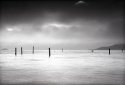 Sausalito Sunrise