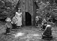 On the way home from Photostock.....