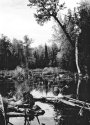 Swamp