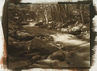 Catoctin Creek Pt/PD over gum