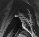 Where Light Goes To Play, Study #6
