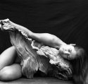 Driftwood Series