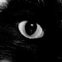 CATS EYE