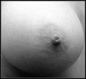 Detail of breast