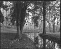 U. of Tenn. Arboretum, 2