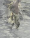 PNG Dance : Study 2