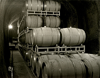 Wine Cellar