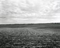 Midwest Landscape
