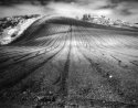 Unplanted Hill