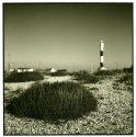 Dungeness