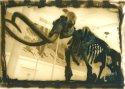 Mastodon