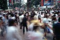 Of Course, Shibuya Crossing