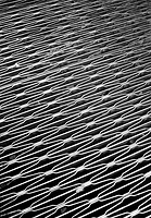 Study - urban patterns